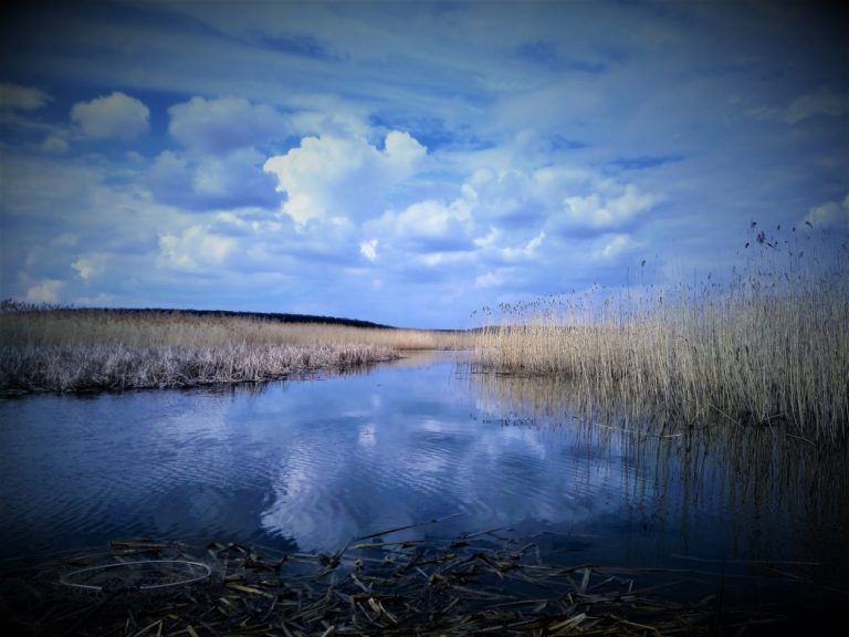 Отчет о рыбалке: Воронежское водохранилище — городской округ Воронеж — Воронеж — Центральный федеральный округ, Воронежская область