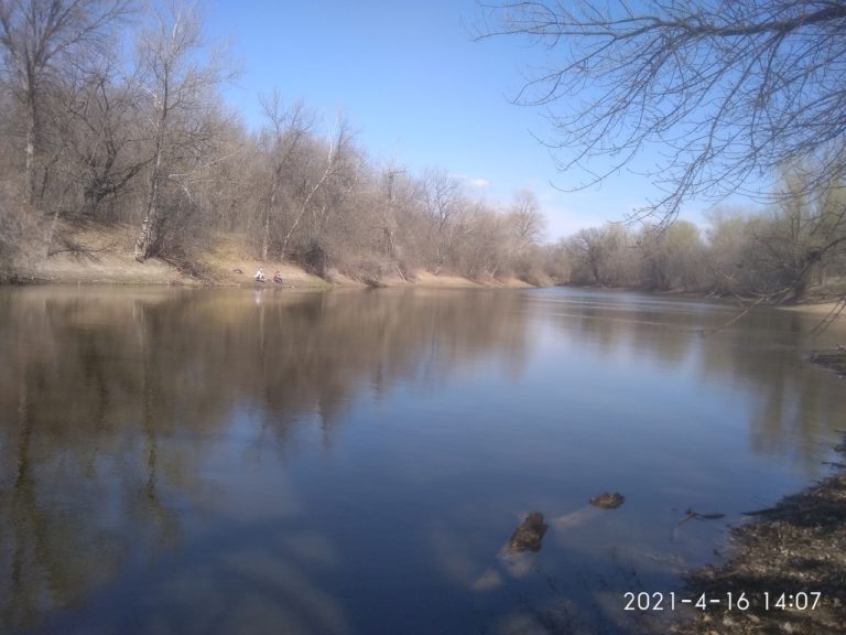 Отчет о рыбалке: Водоём Волга — городской округ Волгоград — Волгоград — Южный федеральный округ, Волгоградская область