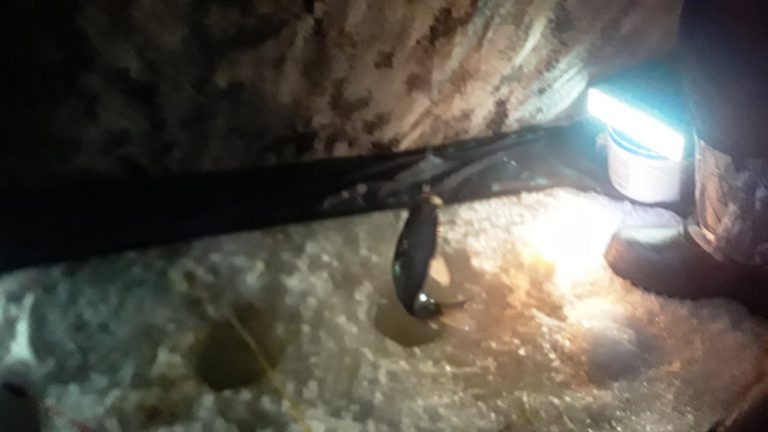 Отчет о рыбалке: Водоём #76263597 — Крапивинский муниципальный округ — Сибирский федеральный округ, Кемеровская область
