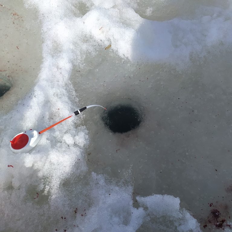 Отчет о рыбалке: Водоём Лебяжье — городской округ Самара — Самара — Приволжский федеральный округ, Самарская область