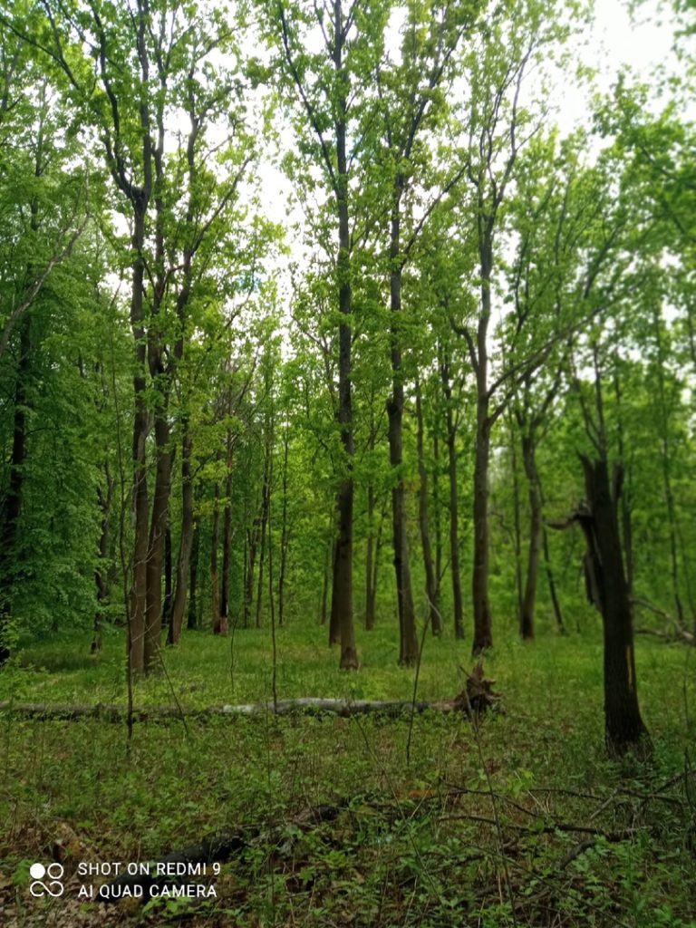 Отчет о рыбалке: Озеро Россохино — городской округ Бор — Бор — Приволжский федеральный округ, Нижегородская область