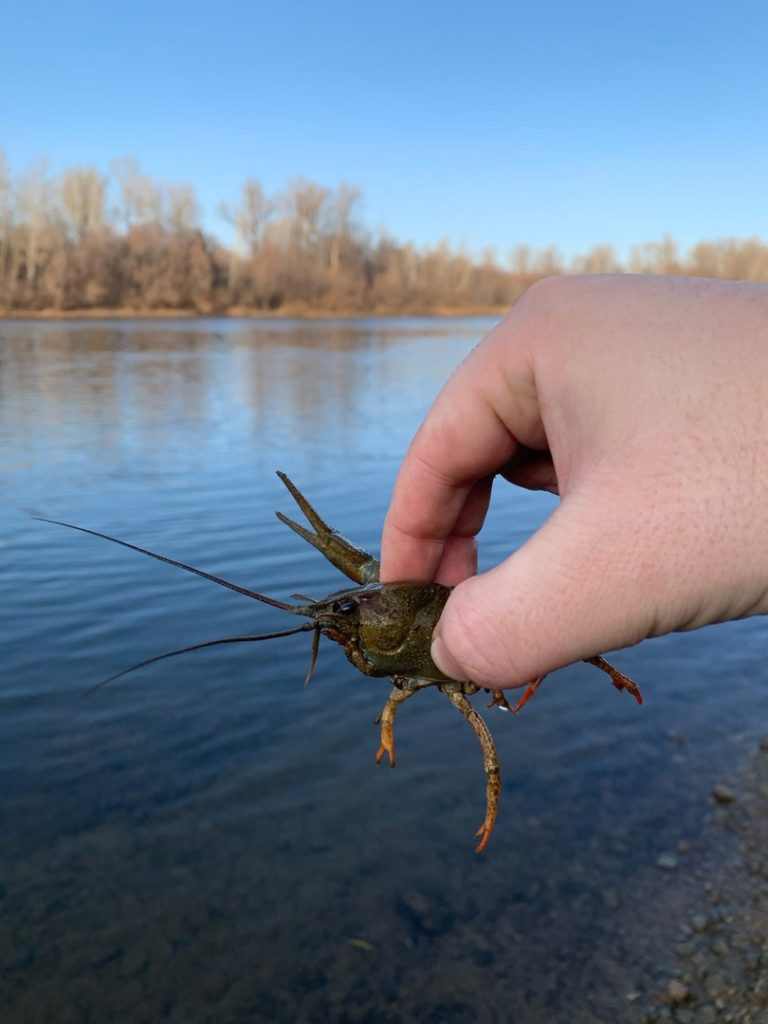 Отчет о рыбалке: Река Уфа — городской округ Уфа — Уфа — Приволжский федеральный округ, Республика Башкортостан
