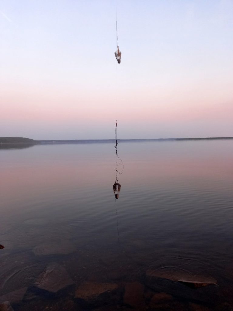 Отчет о рыбалке: Чебоксарское водохранилище — Приволжский федеральный округ