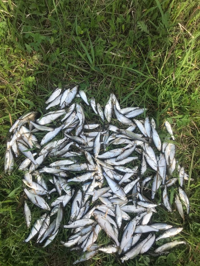 Отчет о рыбалке: Водоём #442034537 — городской округ Иваново — Иваново — Центральный федеральный округ, Ивановская область