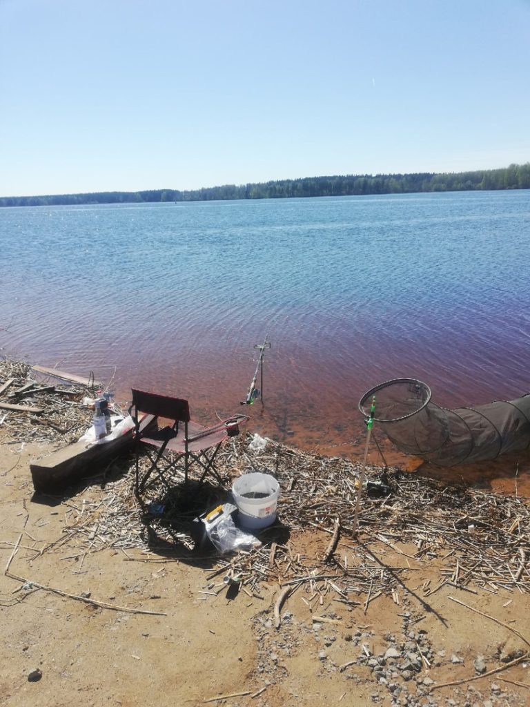 Отчет о рыбалке: Угличское водохранилище — Центральный федеральный округ