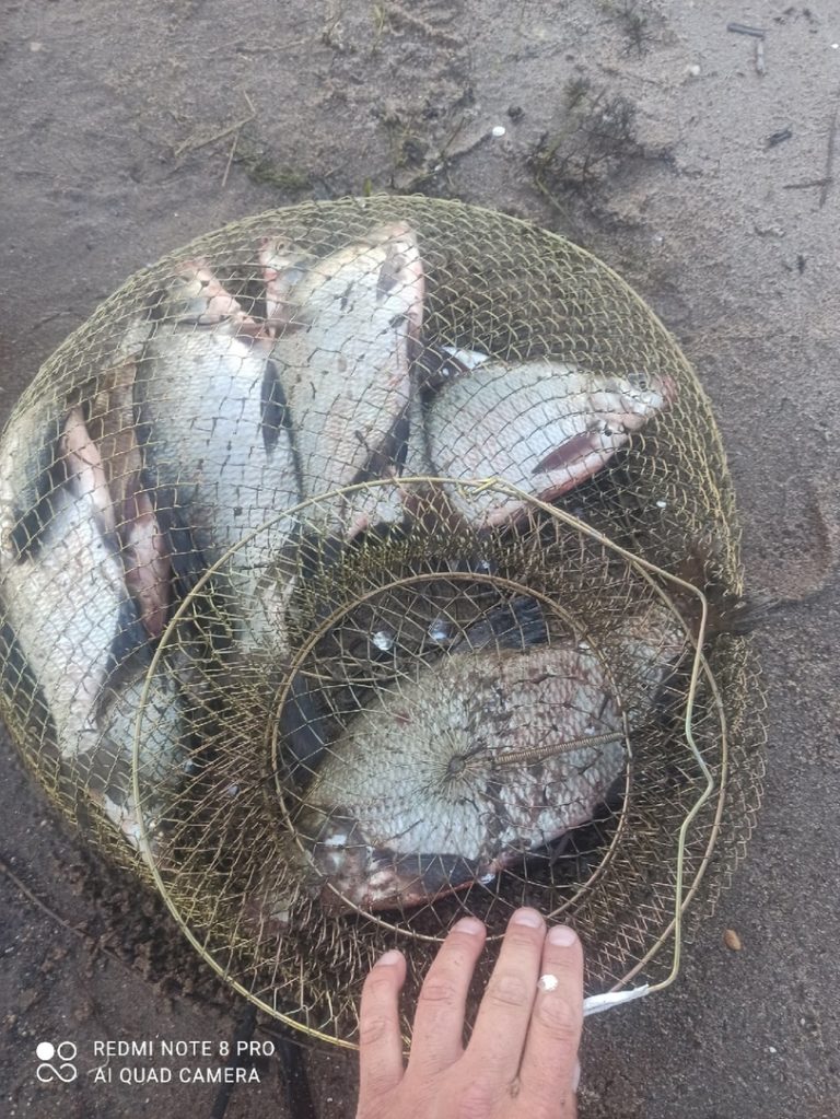 Отчет о рыбалке: Водоём #15243189 — городской округ Самара — Самара — Приволжский федеральный округ, Самарская область