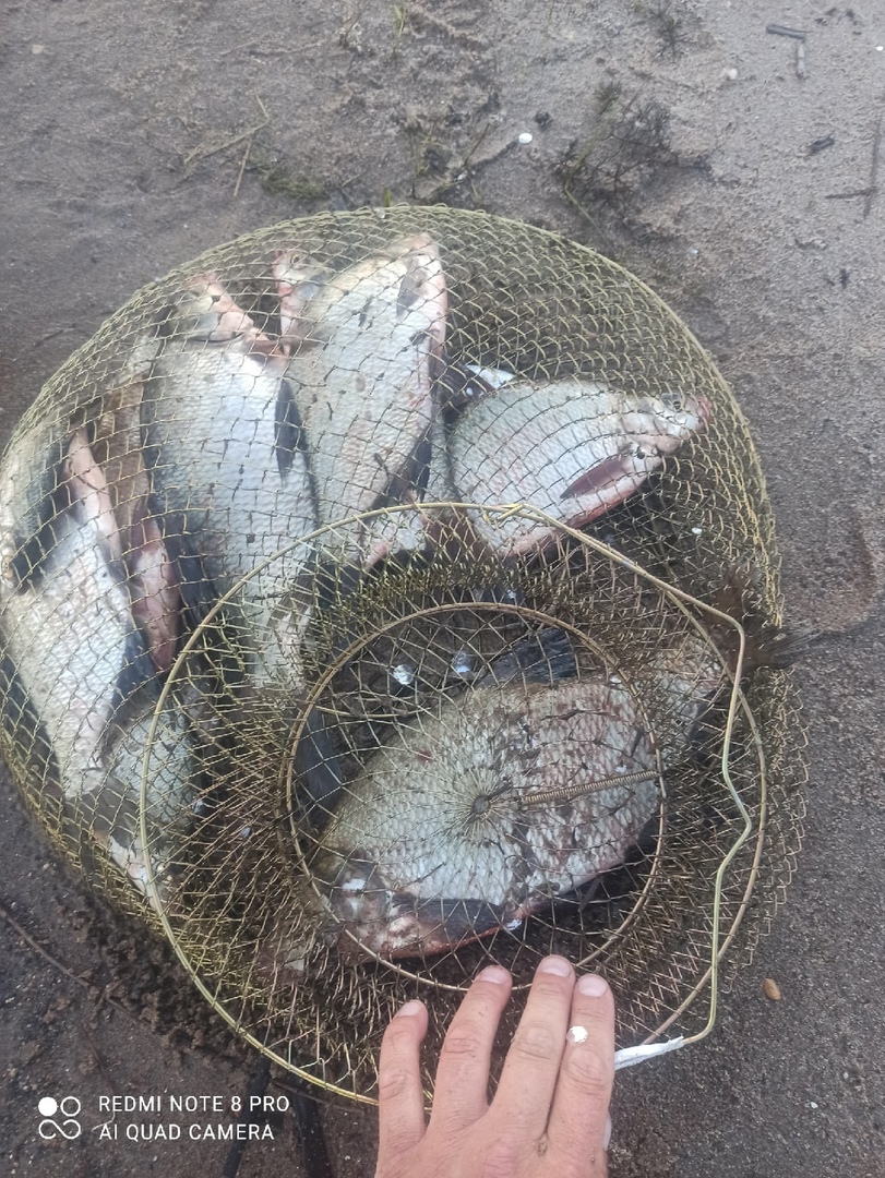 Отчет о рыбалке: Водоём #15243189 — городской округ Самара — Самара — Приволжский федеральный округ, Самарская область