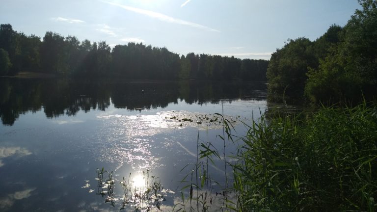 Отчет о рыбалке: Водоём #277224 — Москва — Центральный федеральный округ, Москва