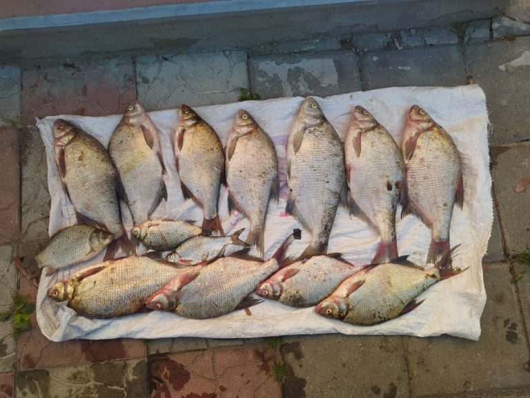 Отчет о рыбалке: Водохранилище Сурское водохранилище — городской округ Пенза — Пенза — Приволжский федеральный округ, Пензенская область
