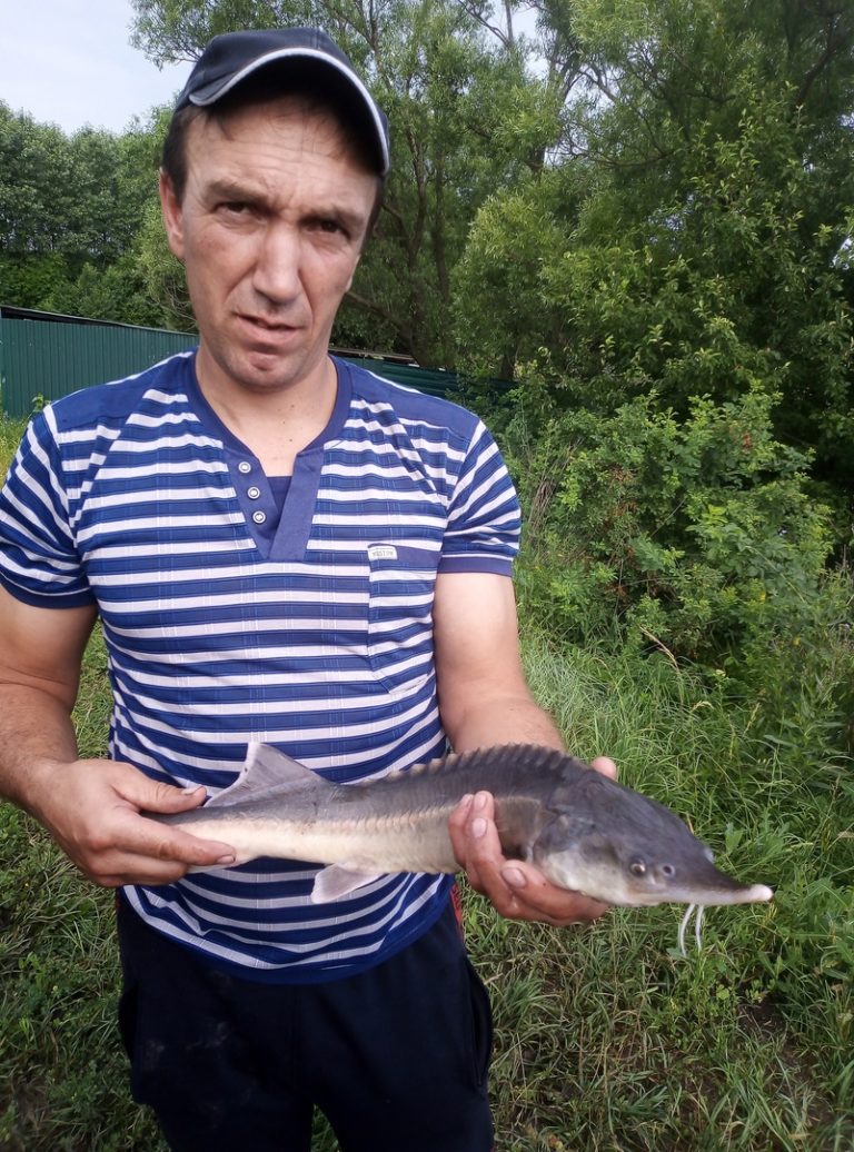 Отчет о рыбалке: Водоём #52160915 — Семилукский район — Центральный федеральный округ, Воронежская область