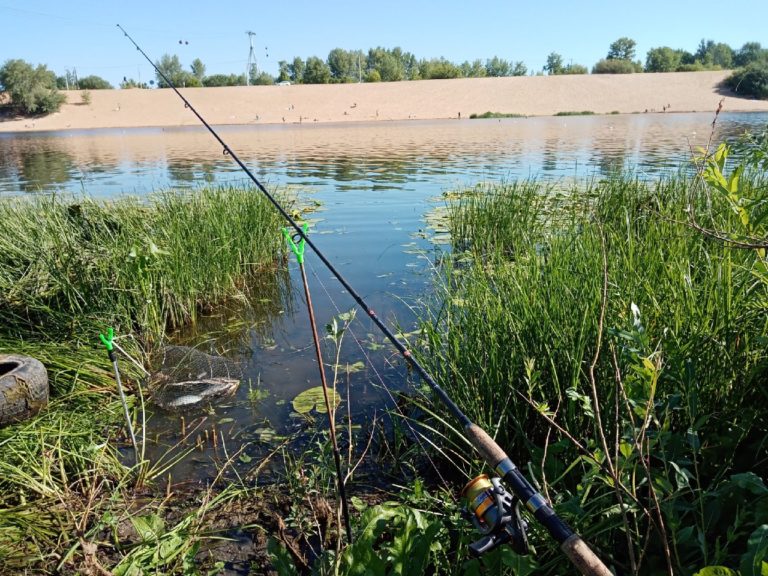 Отчет о рыбалке: Гребной канал — городской округ Нижний Новгород — Нижний Новгород — Приволжский федеральный округ, Нижегородская область