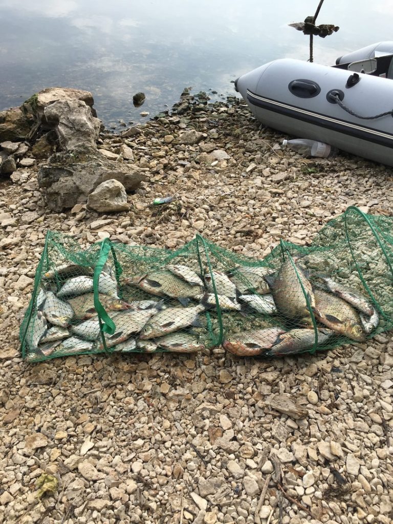 Отчет о рыбалке: Саратовское водохранилище — Приволжский федеральный округ