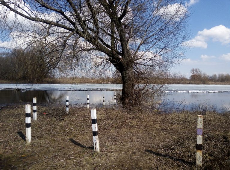 Отчет о рыбалке: Озеро Ореховое — городской округ Рязань — Рязань — Центральный федеральный округ, Рязанская область