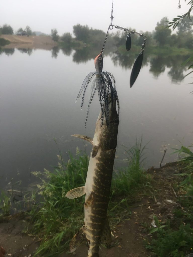 Отчет о рыбалке: Водоём #47318556 — городской округ Красноярск — Красноярск — Сибирский федеральный округ, Красноярский край