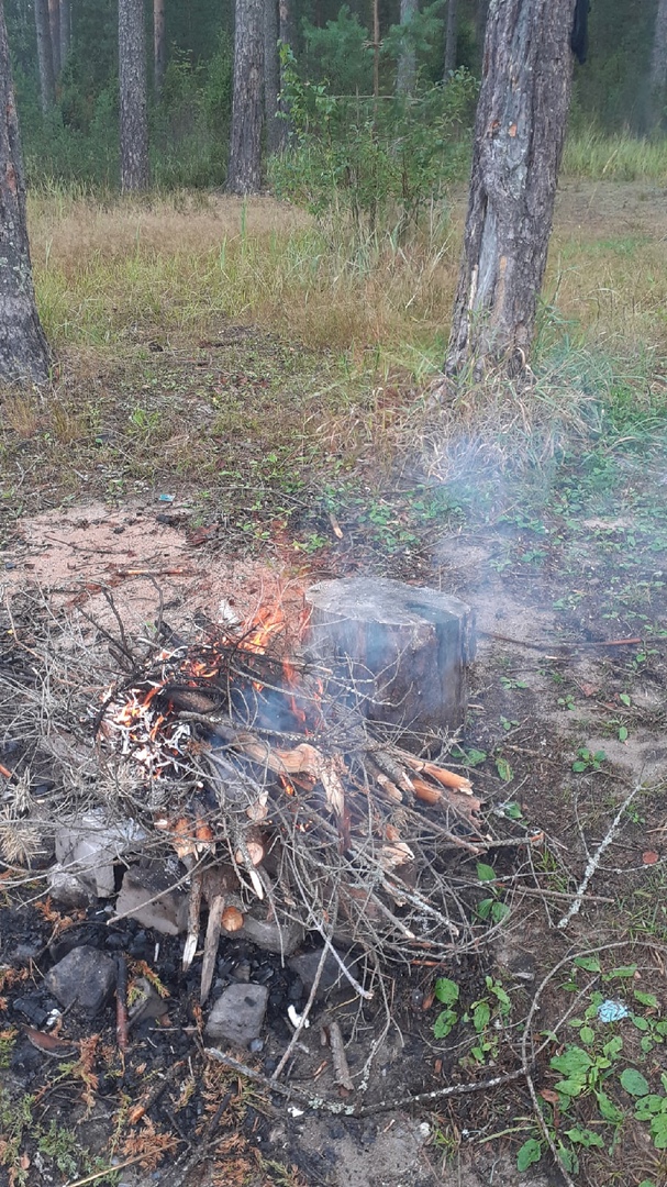 Отчет о рыбалке: Водоём Дриздино — Хвойнинский муниципальный округ — Северо-Западный федеральный округ, Новгородская область Отчет о рыбалке: Водоём Дриздино — Хвойнинский муниципальный округ — Северо-Западный федеральный округ, Новгородская область