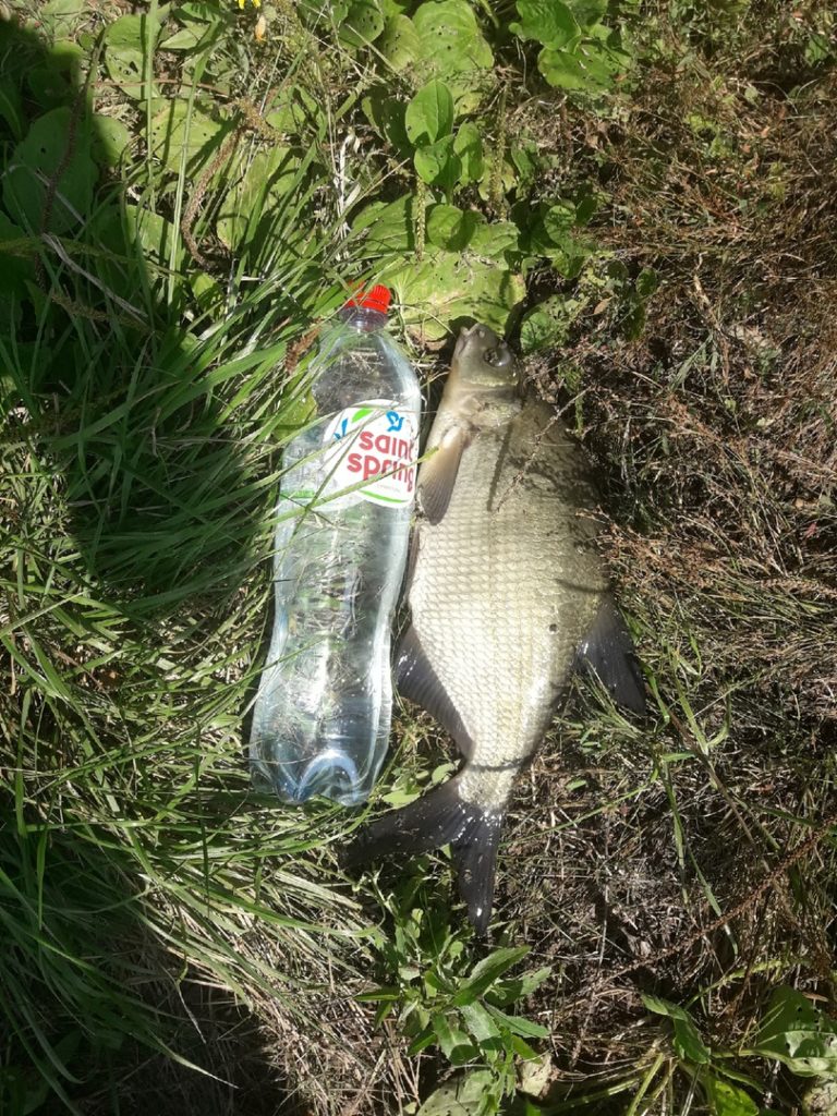 Отчет о рыбалке: Река Сейм — городской округ Курск — Курск — Центральный федеральный округ, Курская область