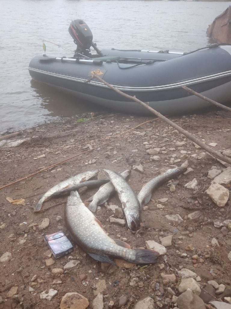 Отчет о рыбалке: Река Вятка — городской округ Вятские Поляны — Приволжский федеральный округ, Кировская область
