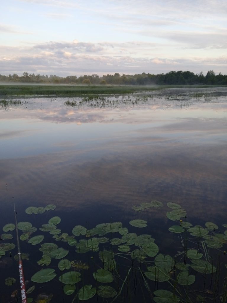 Отчет о рыбалке: Водоём #56078054 — Белозерский район — село Зубово — Северо-Западный федеральный округ, Вологодская область