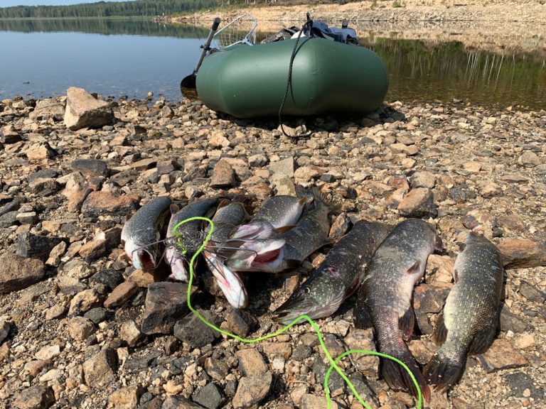 Отчет о рыбалке: Долгобродское водохранилище — городской округ Верхний Уфалей — Уральский федеральный округ, Челябинская область