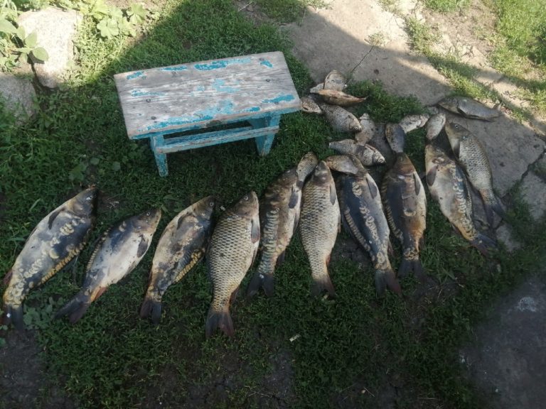 Отчет о рыбалке: Река Валуй — Красногвардейский район — посёлок Бирюч — Центральный федеральный округ, Белгородская область