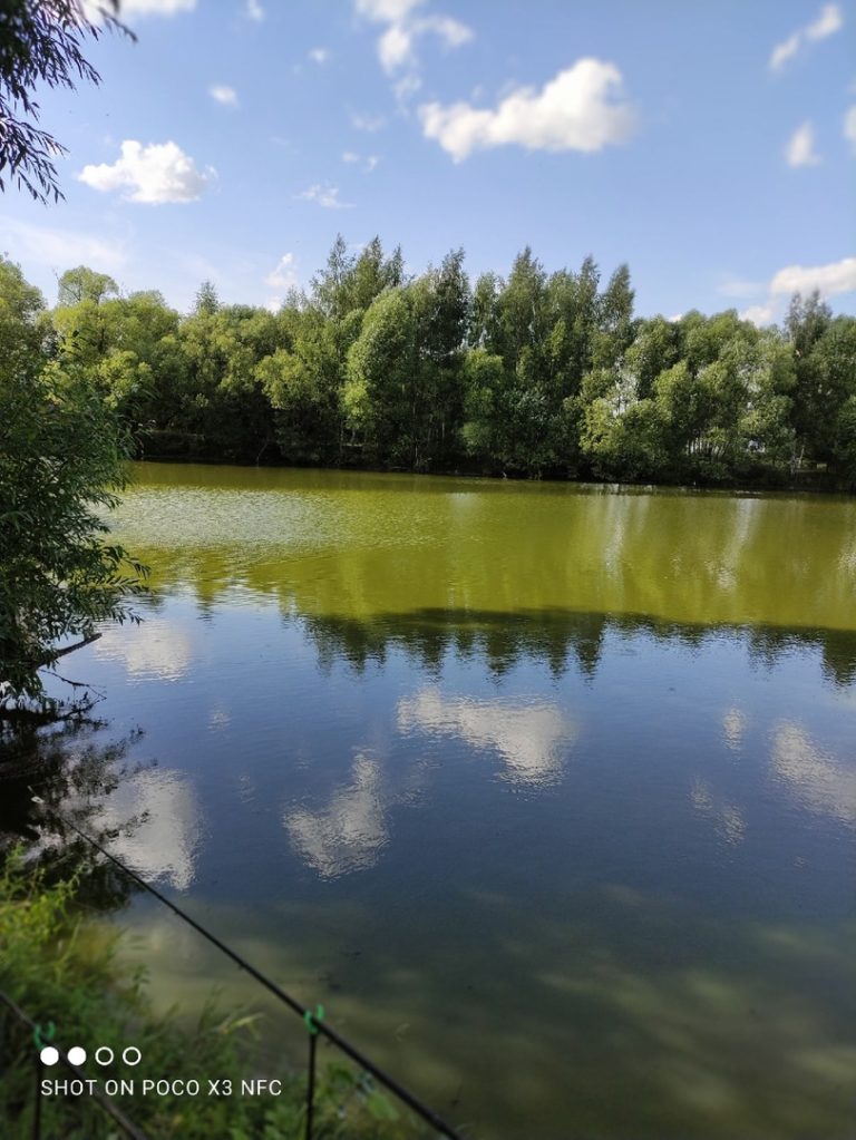 Отчет о рыбалке: Водоём #10349699 — Суздальский район — село Теренеево — Центральный федеральный округ, Владимирская область
