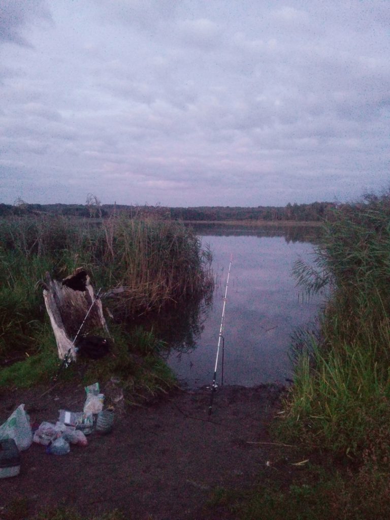 Отчет о рыбалке: Водоём Пенеснарь — Смоленский район — Центральный федеральный округ, Смоленская область