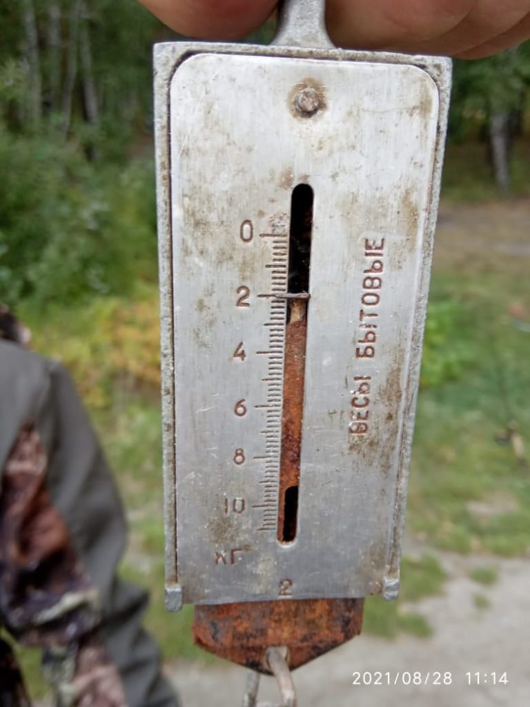 Отчет о рыбалке: Белоярское водохранилище — Уральский федеральный округ, Свердловская область