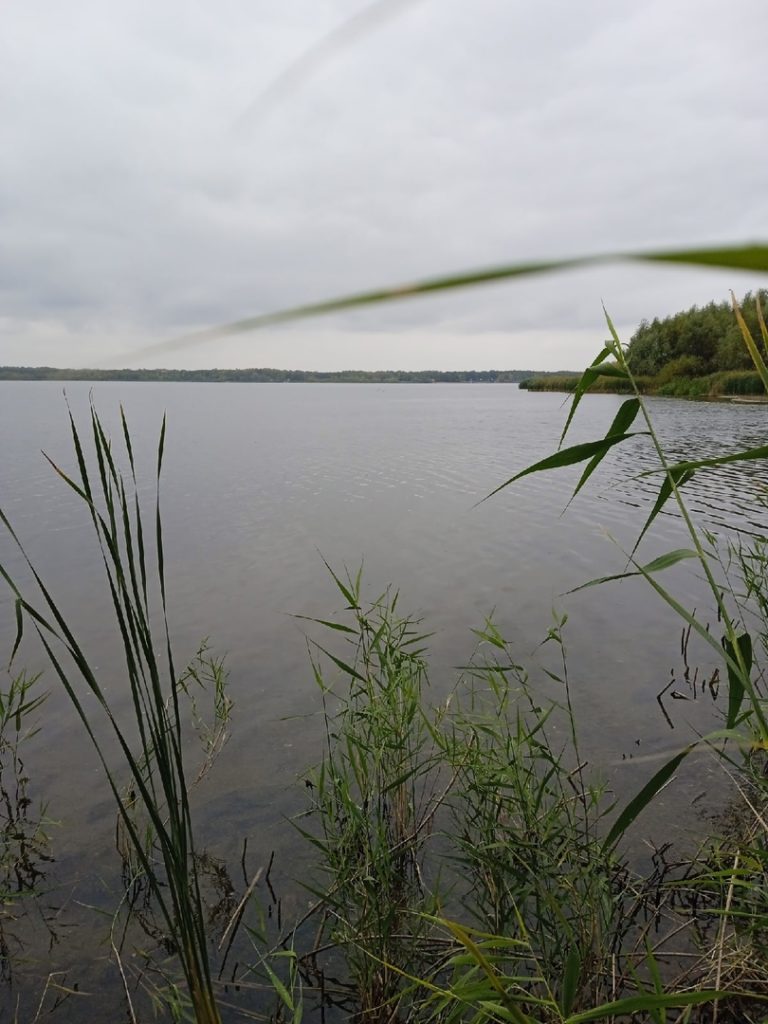 Отчет о рыбалке: Волгоградское водохранилище
