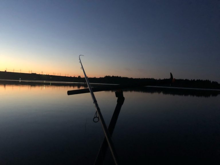 Отчет о рыбалке: Водоём Sheksna — Шекснинский район — Северо-Западный федеральный округ, Вологодская область