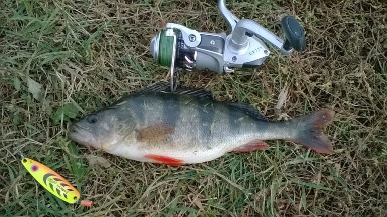 Отчет о рыбалке: Водоём #759092625 — Бойковский район / Тельмановский район — посёлок городского типа Бойковское / Тельманово — Донецкая область