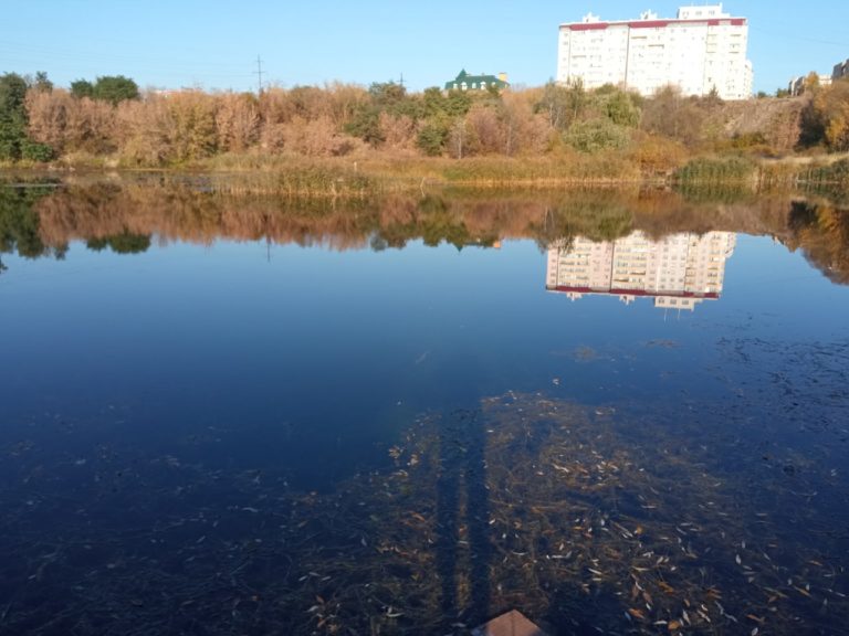 Отчет о рыбалке: Водоём #36737560 — городской округ Орёл — Орёл — Центральный федеральный округ, Орловская область