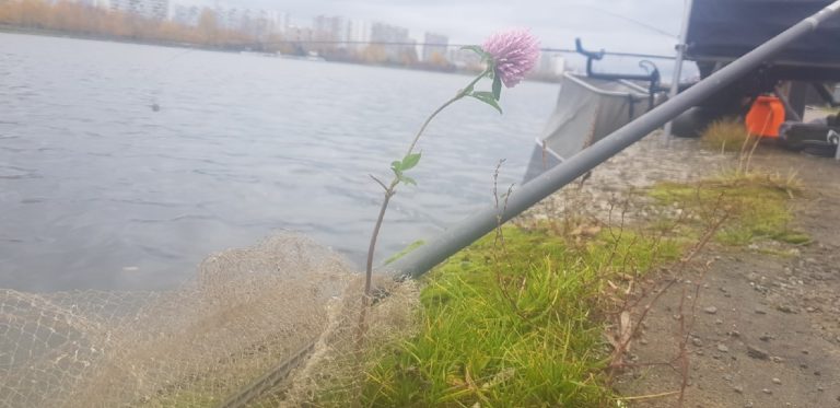 Отчет о рыбалке: Река Москва — Москва — Центральный федеральный округ, Москва