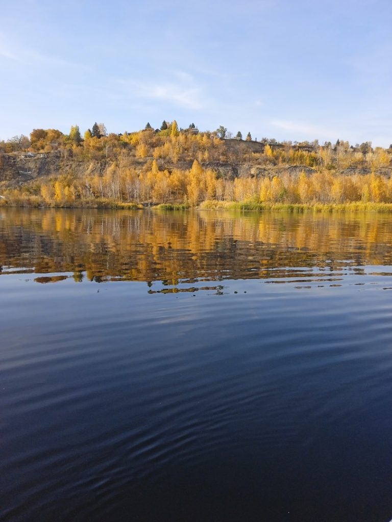 Отчет о рыбалке: Волгоградское водохранилище