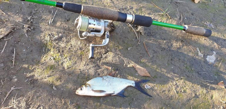 Отчет о рыбалке: Водоём #97087841 — городской округ Волгоград — Волгоград — Южный федеральный округ, Волгоградская область
