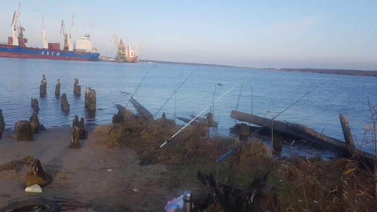 Отчет о рыбалке: Река Кузнечиха — городской округ Архангельск — Архангельск — Северо-Западный федеральный округ, Архангельская область