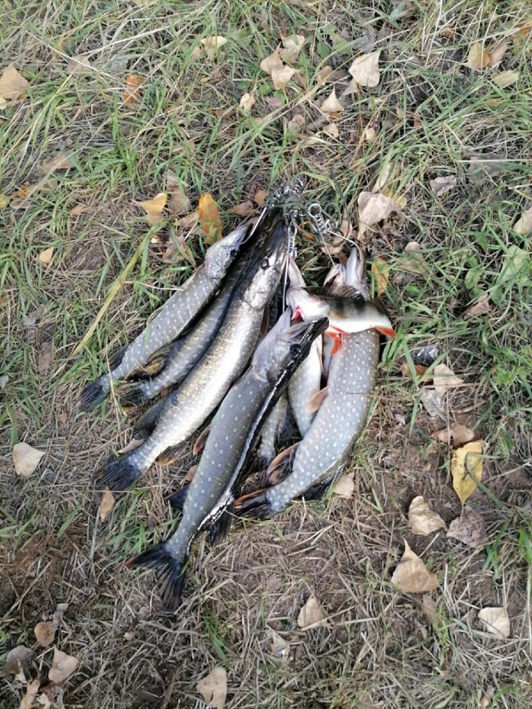 Отчет о рыбалке: Водоём #48553065 — городской округ Самара — Самара — Приволжский федеральный округ, Самарская область