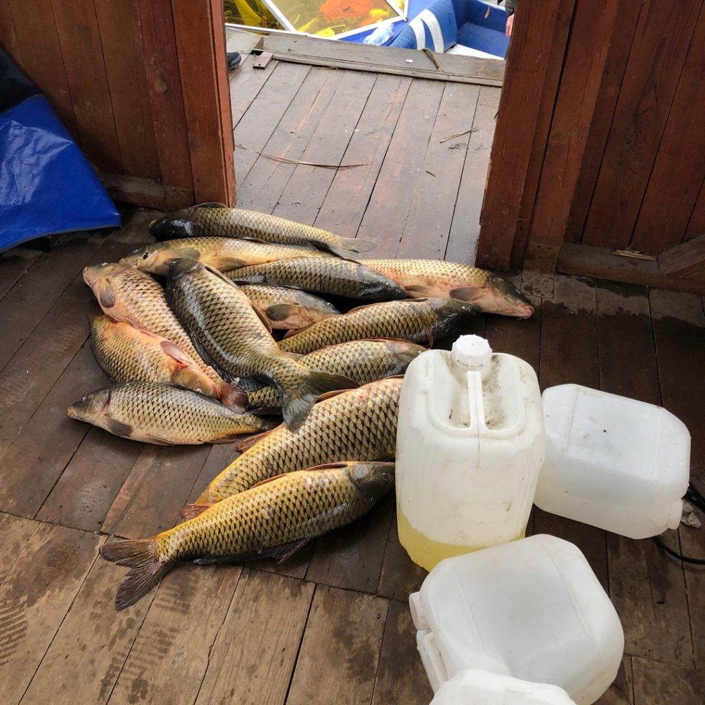 Отчет о рыбалке: Каспийское море Отчет о рыбалке: Каспийское море