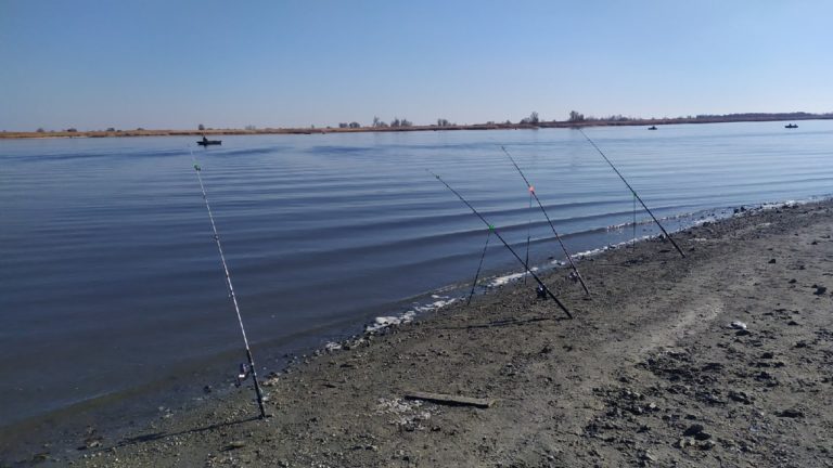 Отчет о рыбалке: Цимлянское водохранилище — Южный федеральный округ