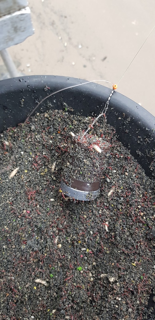 Отчет о рыбалке: Река Москва — Москва — Центральный федеральный округ, Москва