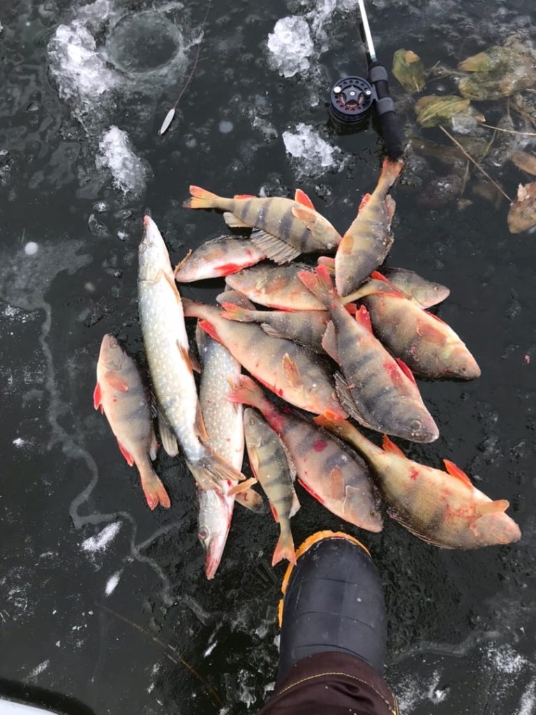 Отчет о рыбалке: Водоём #490366971 — городской округ Красноярск — Красноярск — Сибирский федеральный округ, Красноярский край