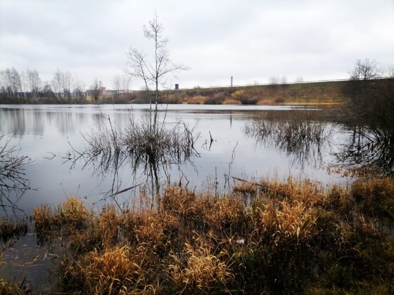 Отчет о рыбалке: Водоём #77908209 — Новодворский сельсовет — Минская область