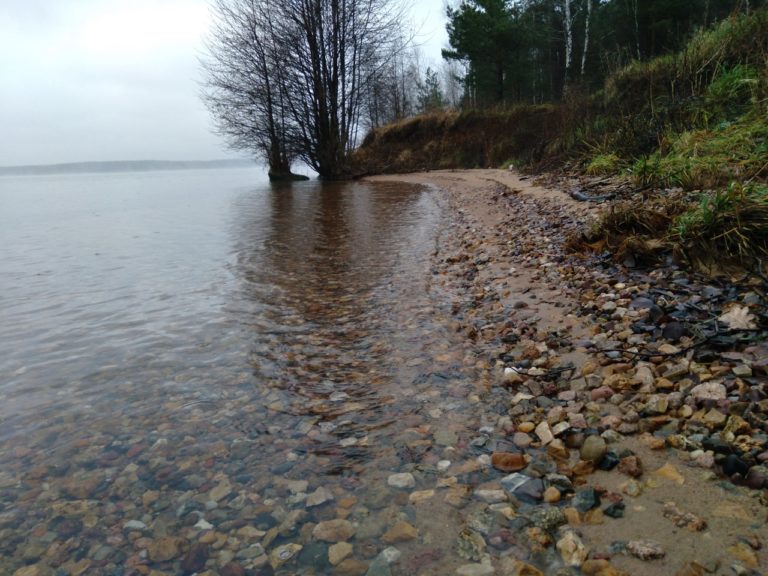 Отчет о рыбалке: Десногорское водохранилище — Центральный федеральный округ, Смоленская область