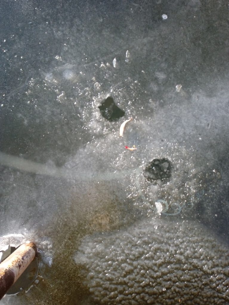 Отчет о рыбалке: Волгоградское водохранилище