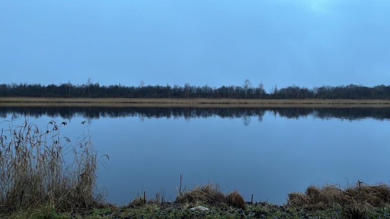 Отчет о рыбалке: Река Паша — Северо-Западный федеральный округ, Ленинградская область