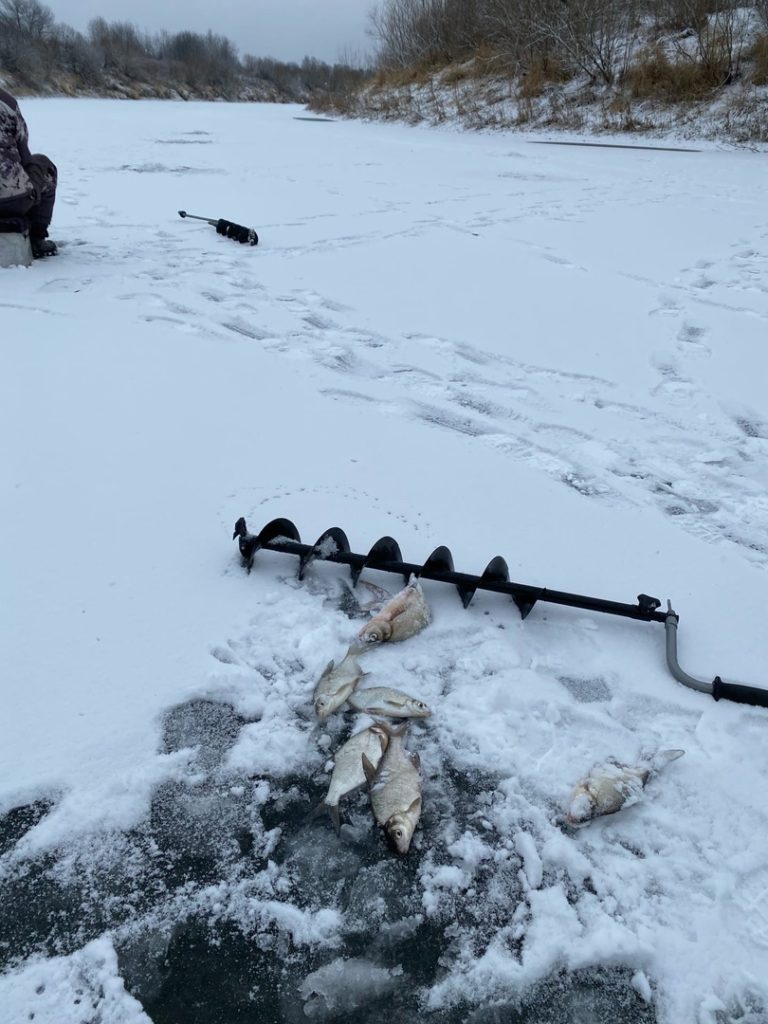 Отчет о рыбалке: Река Пышма — Тюменский район — Уральский федеральный округ, Тюменская область