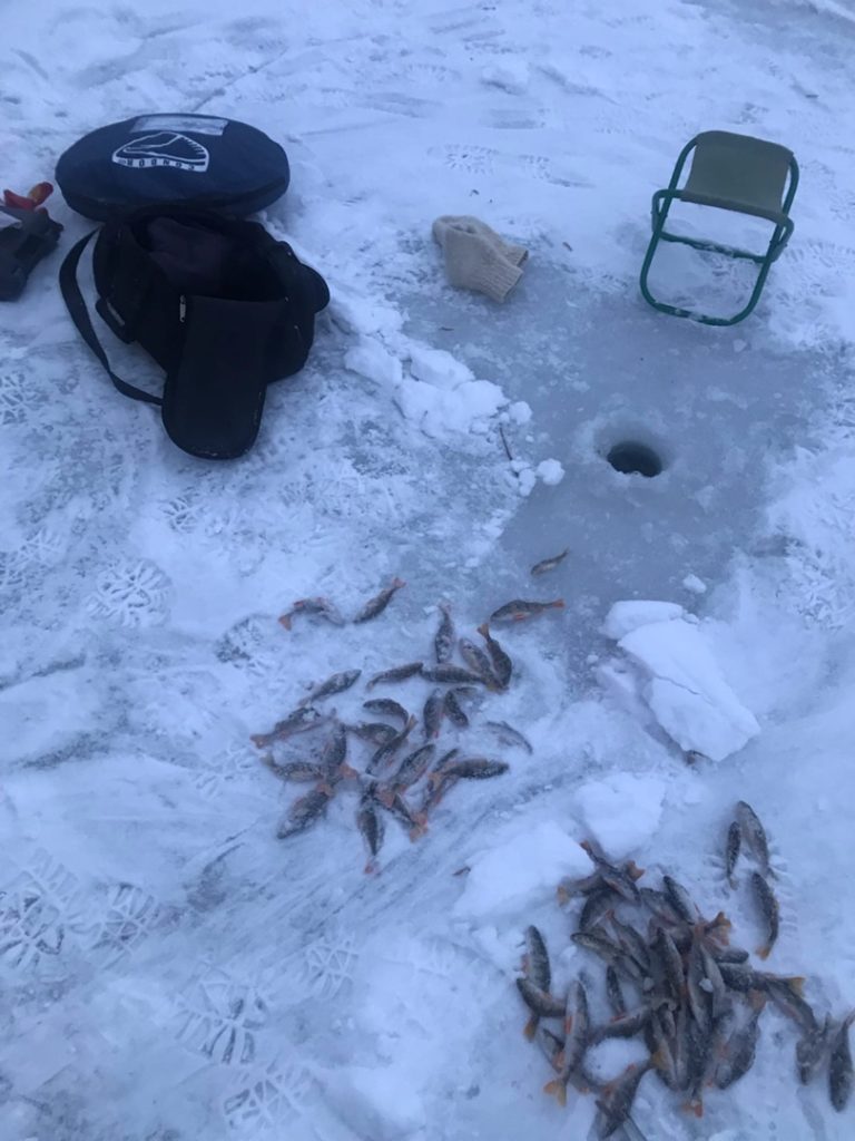 Отчет о рыбалке: Река Шипуниха — городской округ Искитим — Искитим — Сибирский федеральный округ, Новосибирская область