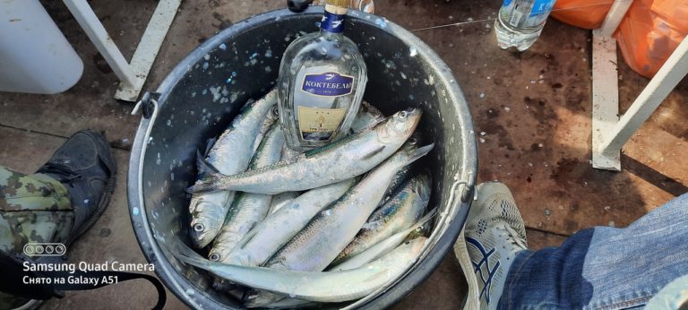Отчет о рыбалке: Чёрное море
