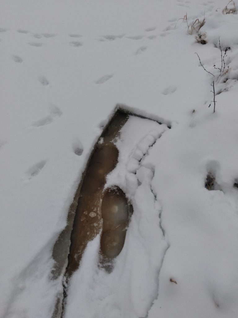 Отчет о рыбалке: Десногорское водохранилище — Центральный федеральный округ, Смоленская область
