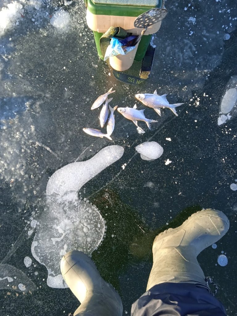 Отчет о рыбалке: Чёрновское водохранилище — Волжский район — Приволжский федеральный округ, Самарская область