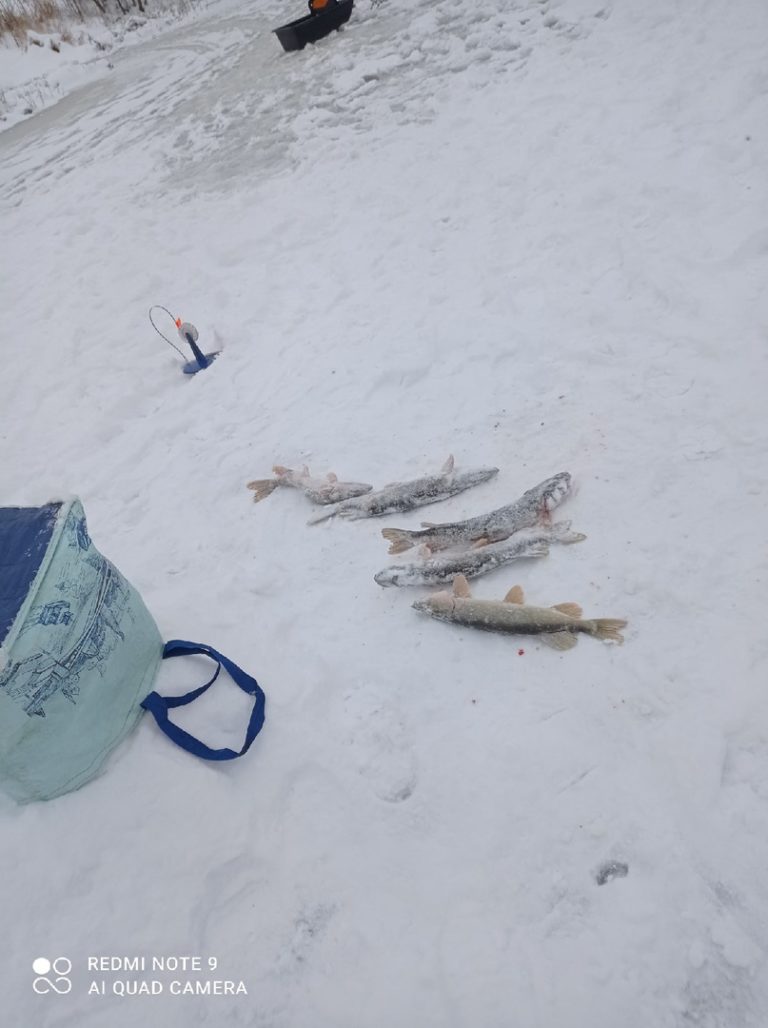 Отчет о рыбалке: Водоём #107508684 — городской округ Клин — деревня Борихино — Центральный федеральный округ, Московская область